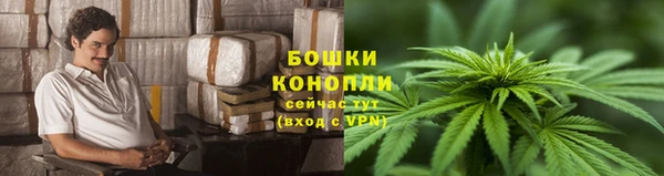 ПСИЛОЦИБИНОВЫЕ ГРИБЫ Аркадак