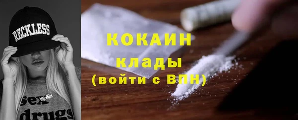 ПСИЛОЦИБИНОВЫЕ ГРИБЫ Аркадак