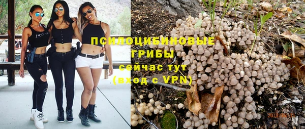 ПСИЛОЦИБИНОВЫЕ ГРИБЫ Аркадак