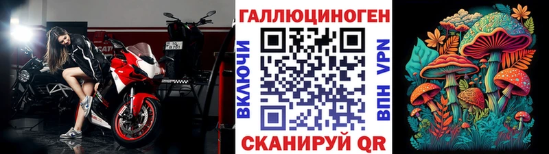 Псилоцибиновые грибы Psilocybine cubensis Кудрово