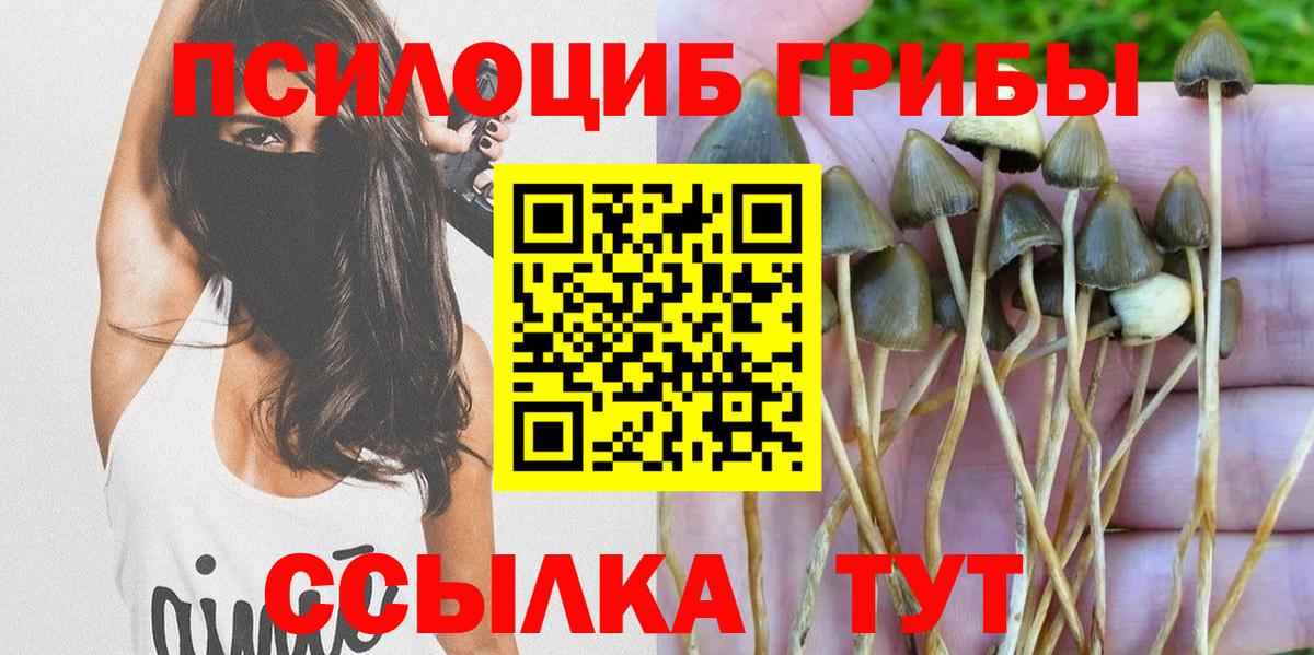 Марихуана  Cocaine  Alpha-PVP СОЛЬ   Меф МЯУ МЯУ   ГАШ  Меф МЯУ МЯУ  Кудрово  Вход с VPN 