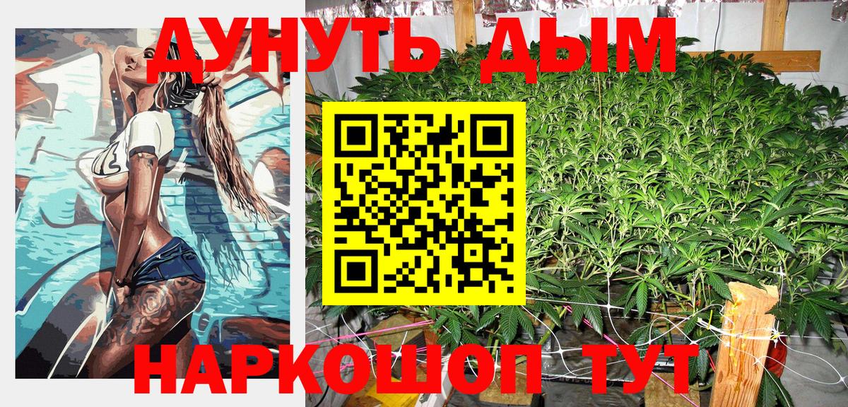 МАРИХУАНА ГИДРОПОН  Шишки марихуана индика  Кудрово  Вход с VPN  Канабис тримм 